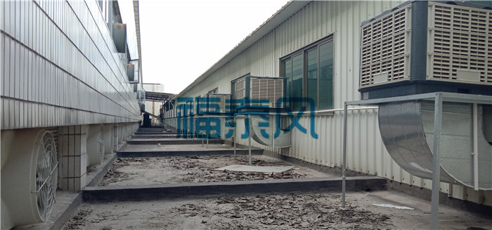 h(hun){LCذb/S-̩