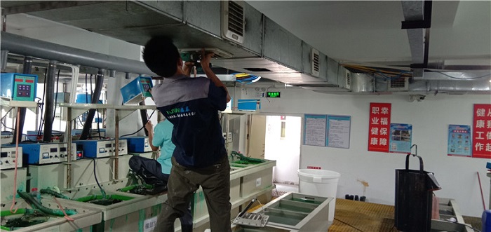 h(hun){(dio)ﶬαB(yng)